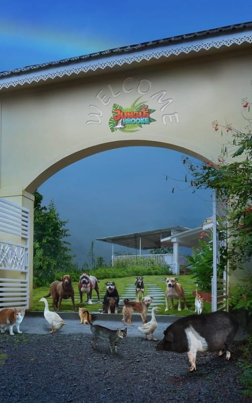 WhatsApp Image 2025-10-03 at 23.41.40 (1)-min