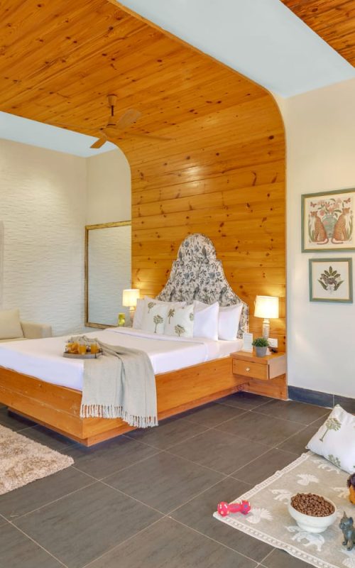 WhatsApp Image 2025-10-03 at 23.41.42 (1)-min