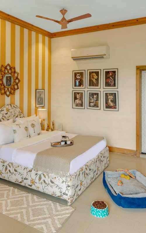 WhatsApp Image 2025-10-03 at 23.41.46 (2)-min