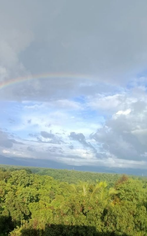 WhatsApp Image 2025-10-03 at 23.41.49-min