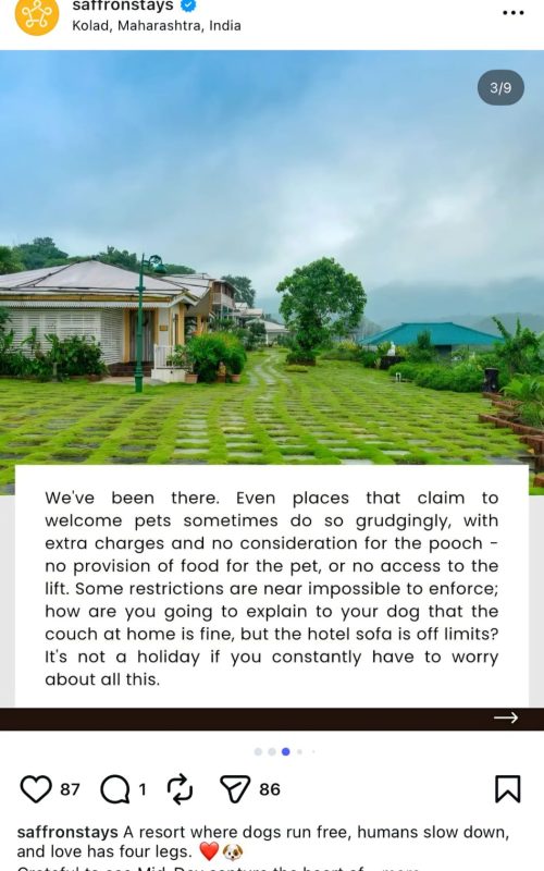 WhatsApp Image 2026-03-16 at 12.49.50