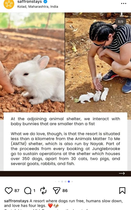 WhatsApp Image 2026-03-16 at 12.49.51