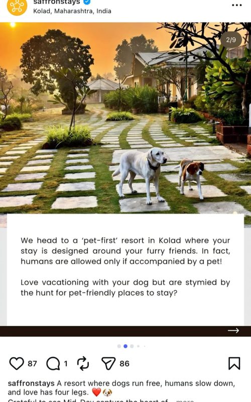 WhatsApp Image 2026-03-16 at 12.49.52