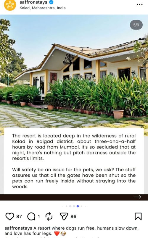 WhatsApp Image 2026-03-16 at 12.49.53 (1)