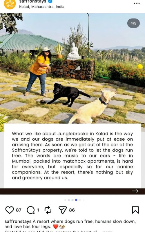 WhatsApp Image 2026-03-16 at 12.49.53