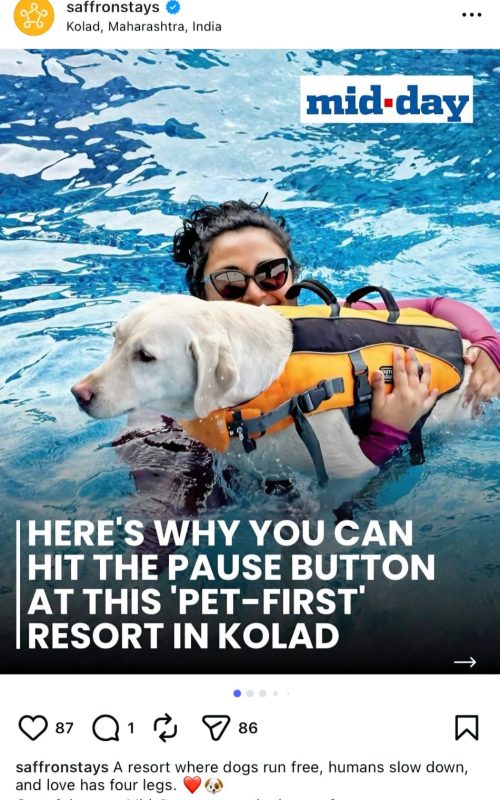 WhatsApp Image 2026-03-16 at 12.49.55 (1)