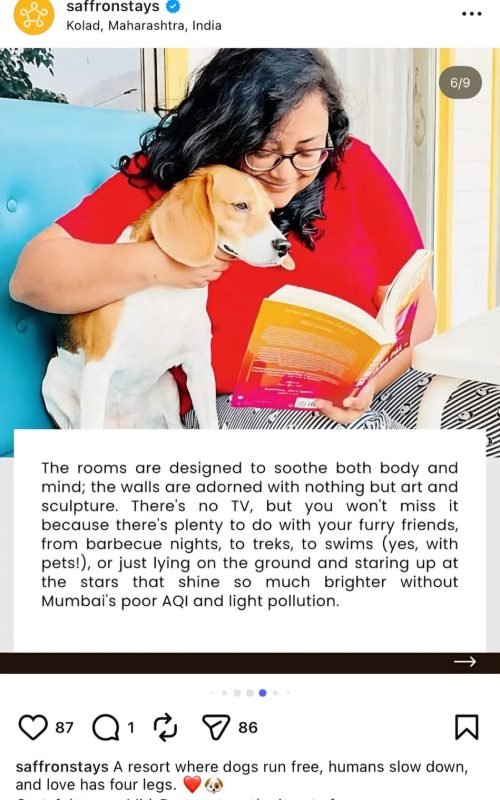 WhatsApp Image 2026-03-16 at 12.49.55