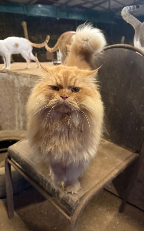 WhatsApp Image 2026-03-16 at 12.49.59 (3)