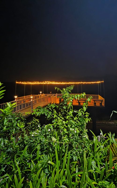 WhatsApp Image 2026-03-16 at 12.50.02 (2)