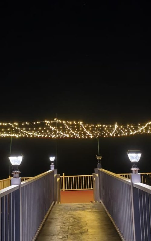 WhatsApp Image 2026-03-16 at 12.50.02