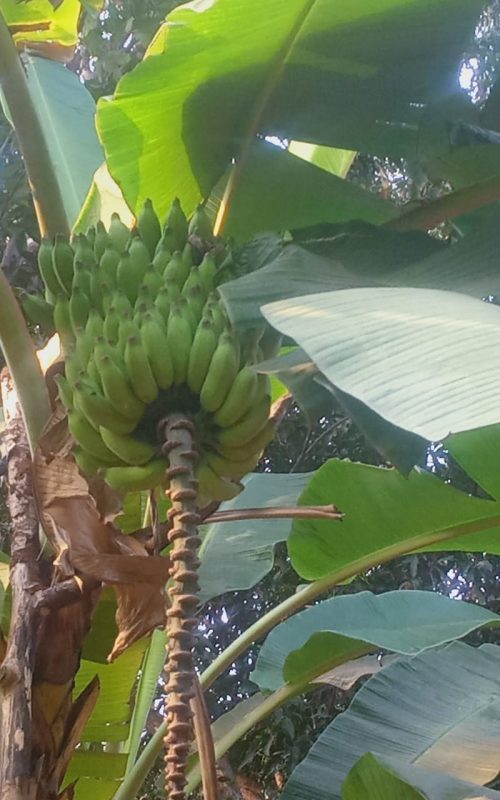 WhatsApp Image 2026-03-16 at 17.53.20