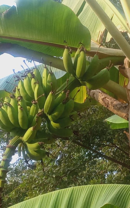 WhatsApp Image 2026-03-16 at 17.53.22