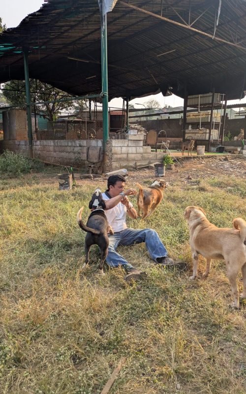 WhatsApp Image 2026-03-16 at 17.53.29