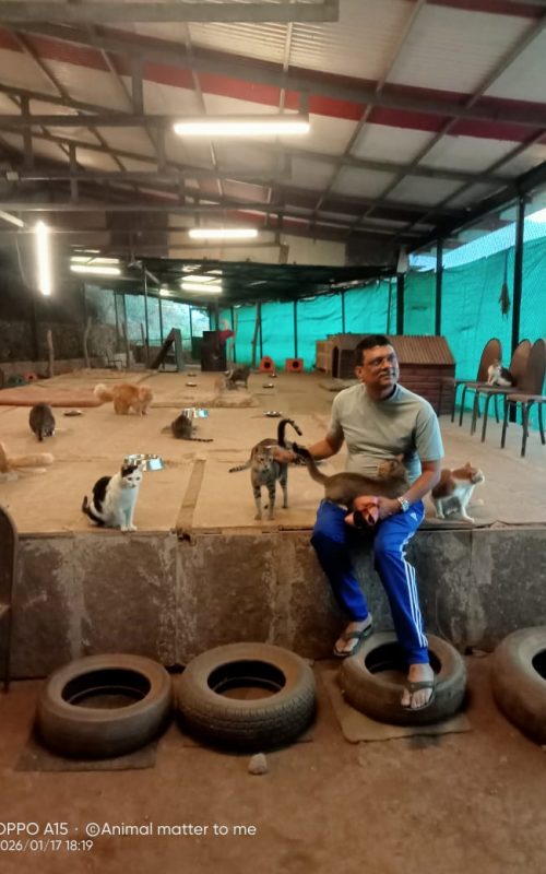 WhatsApp Image 2026-03-16 at 17.53.32 (1)