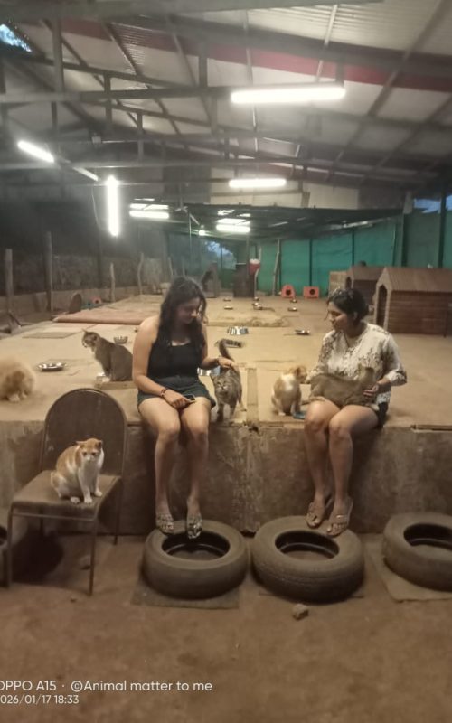 WhatsApp Image 2026-03-16 at 17.53.32