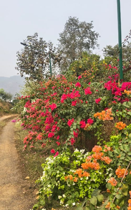 WhatsApp Image 2026-03-16 at 17.53.35 (1)