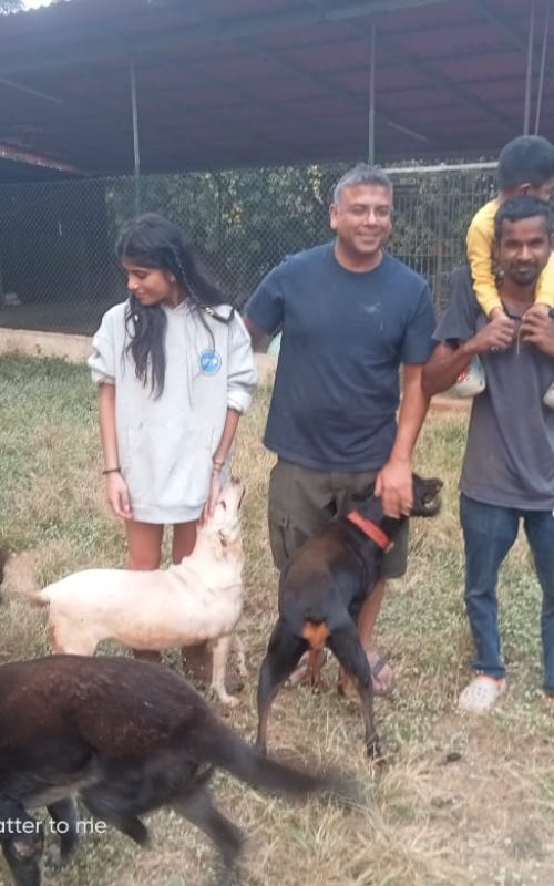 WhatsApp Image 2026-03-16 at 17.53.36