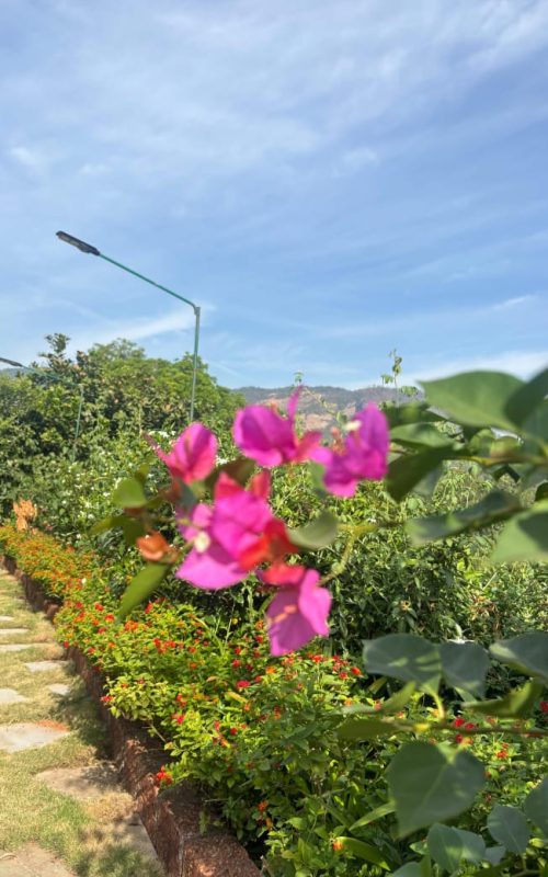 WhatsApp Image 2026-03-16 at 17.53.37 (1)