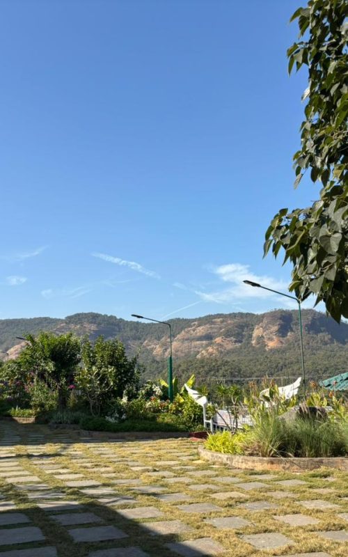 WhatsApp Image 2026-03-16 at 17.53.38 (1)