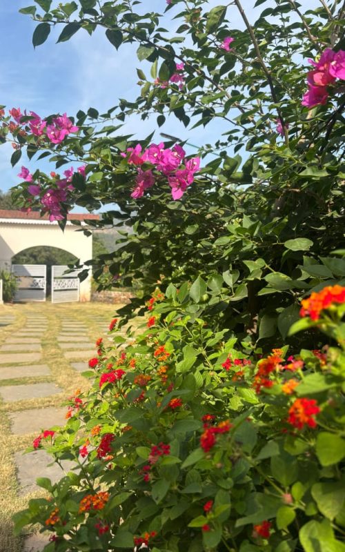 WhatsApp Image 2026-03-16 at 17.53.38