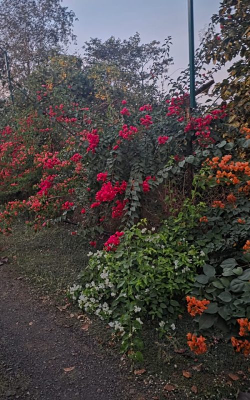 WhatsApp Image 2026-03-16 at 17.53.44