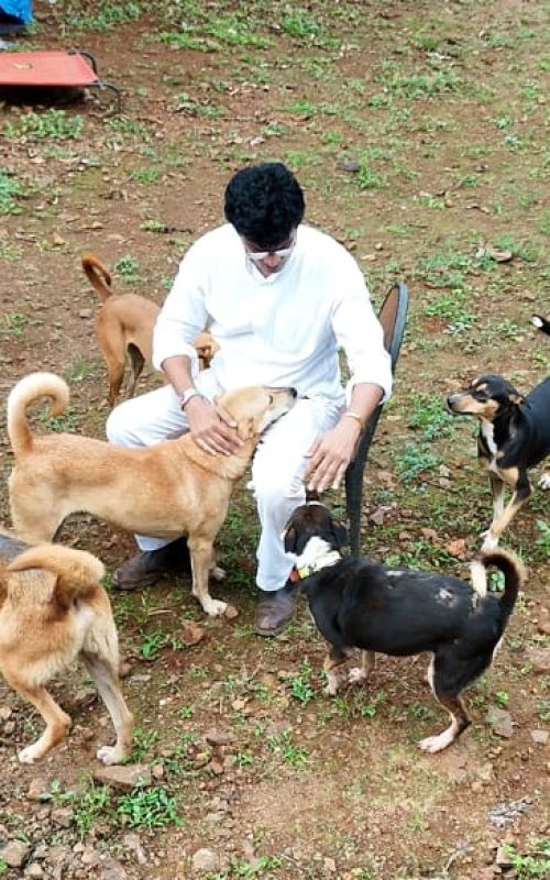 WhatsApp Image 2026-03-16 at 17.54.19