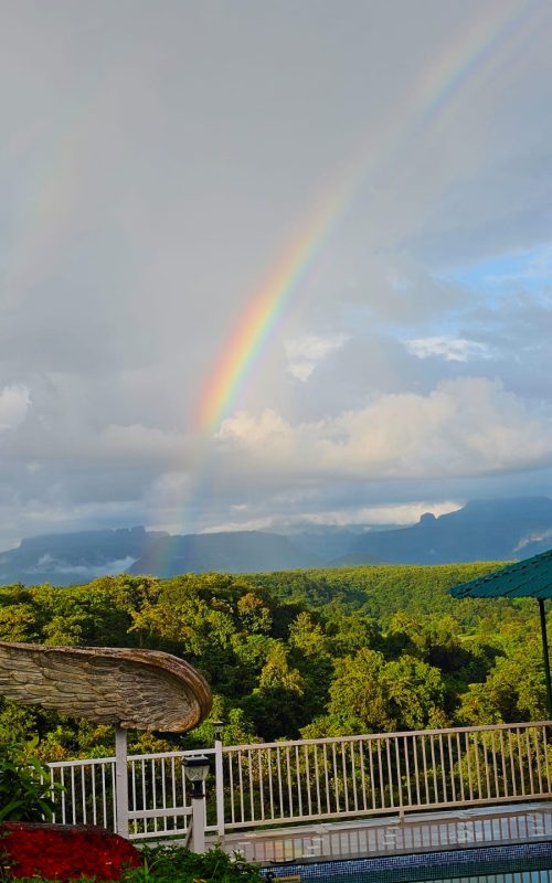 WhatsApp Image 2026-03-16 at 17.54.21