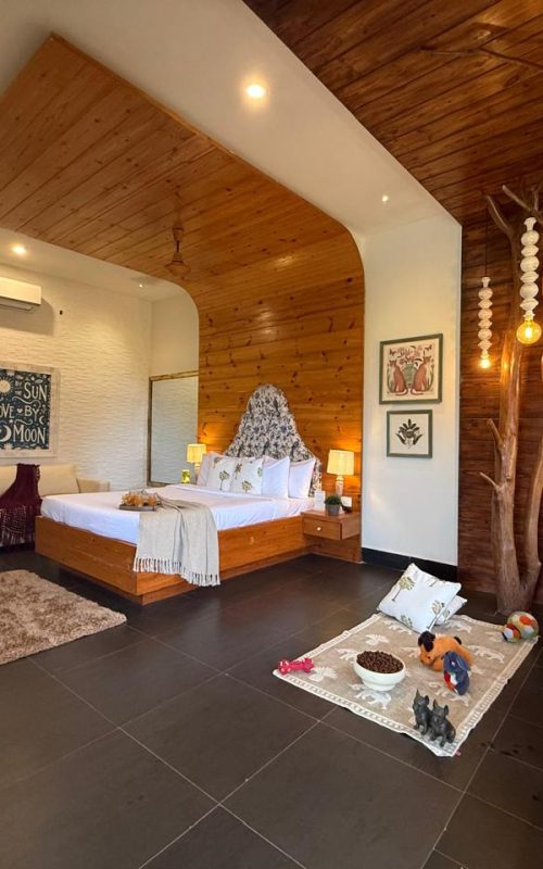 WhatsApp Image 2026-03-16 at 17.54.22 (1)