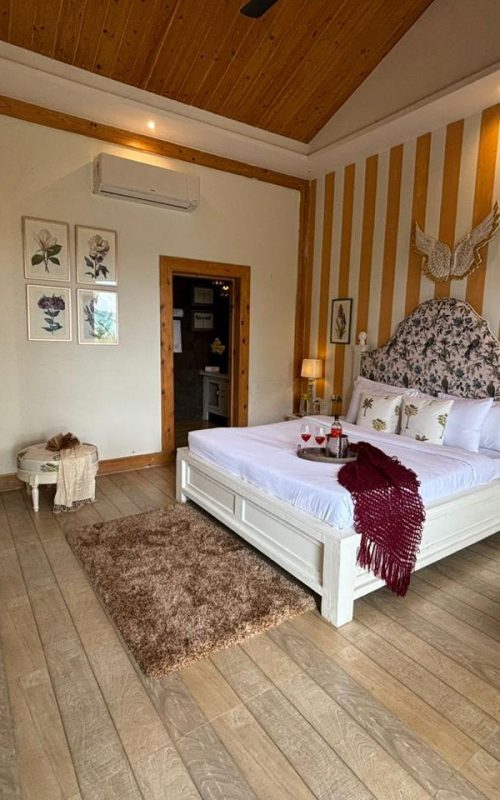 WhatsApp Image 2026-03-16 at 17.54.22 (2)