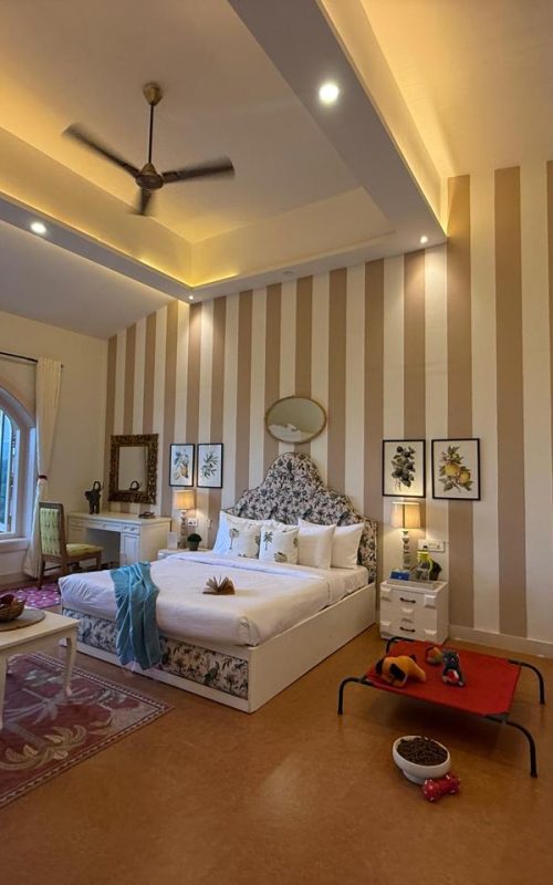 WhatsApp Image 2026-03-16 at 17.54.22