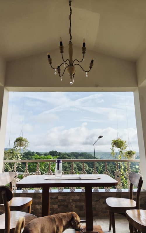 WhatsApp Image 2026-03-16 at 17.54.23 (1)