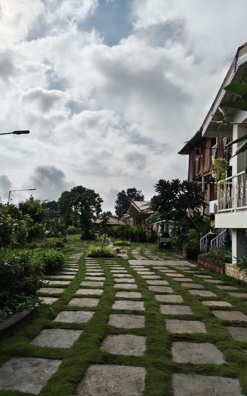 WhatsApp Image 2026-03-16 at 17.54.24 (1)