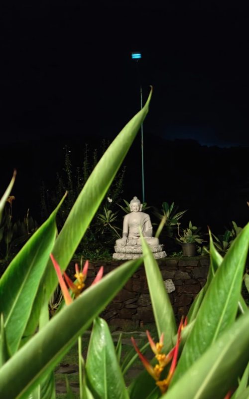 WhatsApp Image 2026-03-16 at 17.54.26