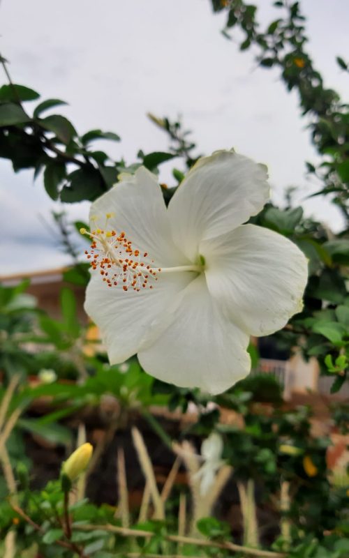 WhatsApp Image 2026-03-16 at 17.54.31 (1)