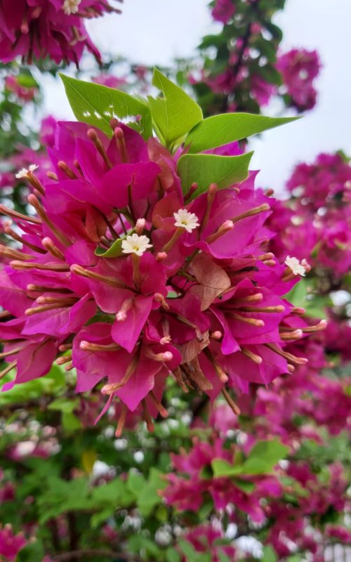 WhatsApp Image 2026-03-16 at 17.54.32 (2)