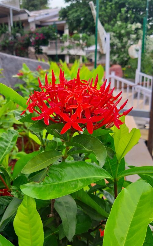 WhatsApp Image 2026-03-16 at 17.54.32