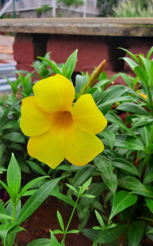 WhatsApp Image 2026-03-16 at 17.54.33